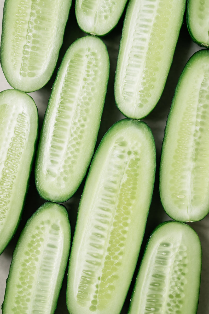 The Complete Guide to Growing and Caring for Cucumbers: A Step-by-Step Guide