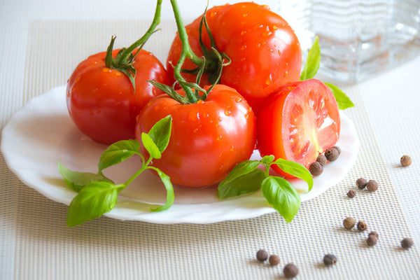 The Ultimate Guide to Growing Tomatoes: A Step-by-Step Guide