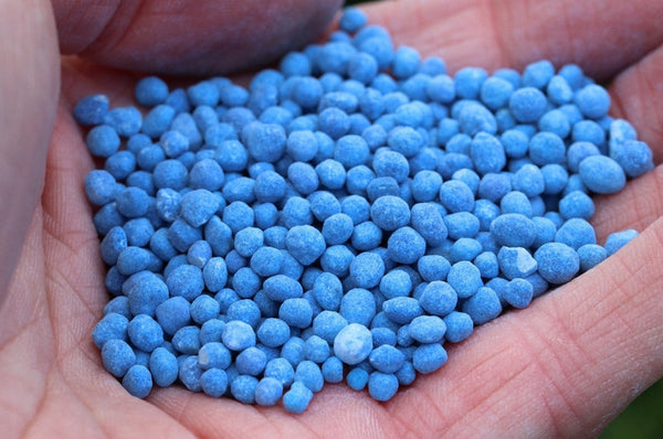 NPK FERTILISER BLUE GRANULATED NITROPHOSKA SOLUBLE PREMIUM